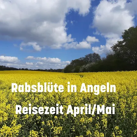 De Luette Uennen Appartement Dollerup